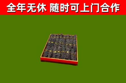 改则回收海参